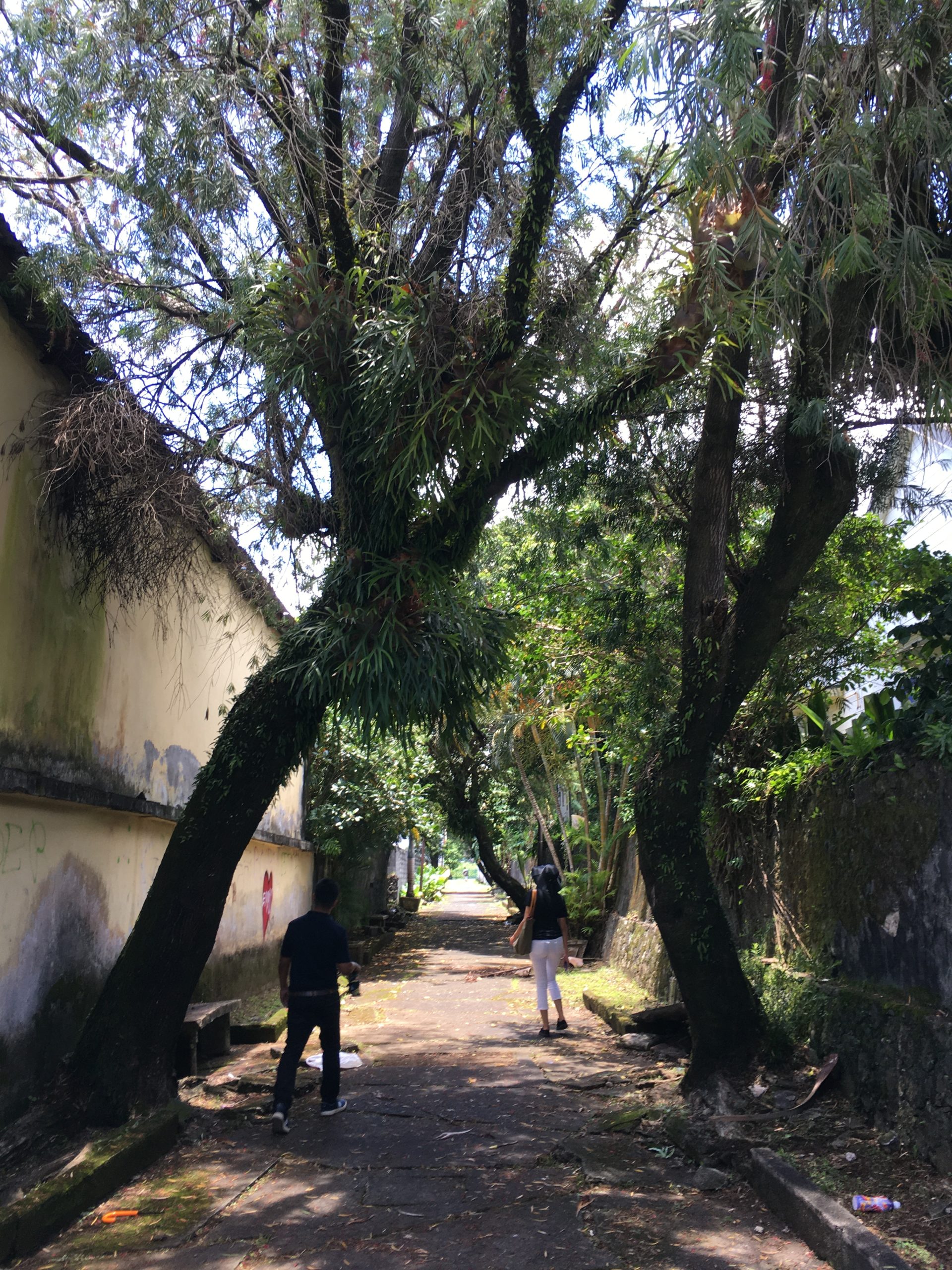 Photo d'une rue de la ville de Saint André