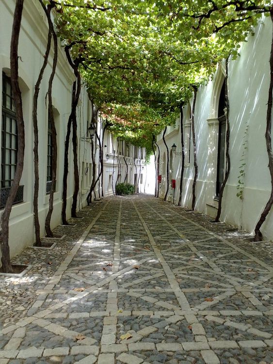 Photo d'une ruelle de la ville de Saint-André