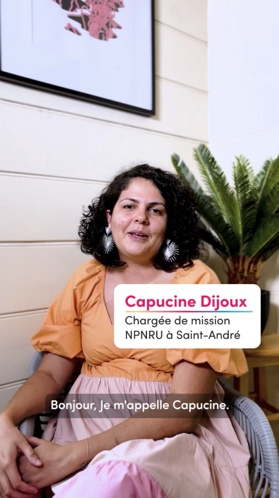 Champ d'action NPNRU